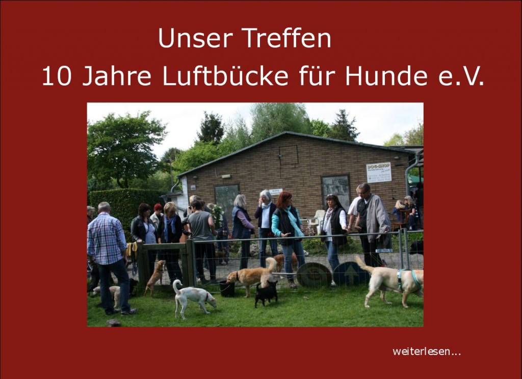 LuftbrueckefuerHunde e.V. » Blog Archiv » Unser Treffen “ 10 Jahre
