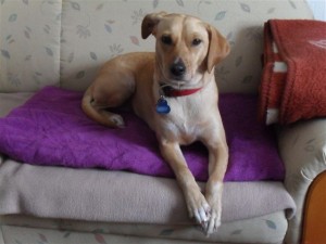 <SAMSUNG DIGITAL CAMERA/>