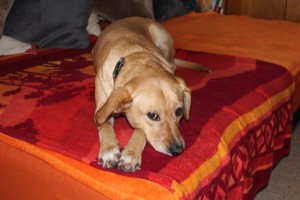 15-02-01 Büsum und Gertrud 011