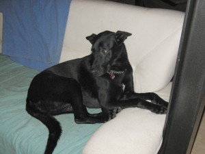 Carlos