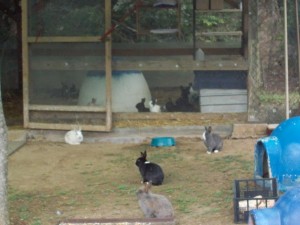 Casa Valentina_082015_0014
