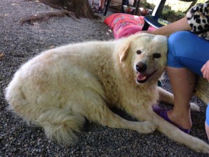 Casa Valentina_082015_0026