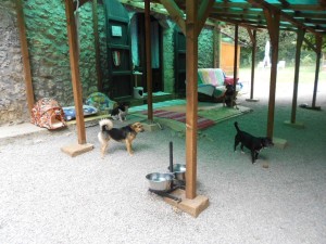 Casa Valentina_082015_0036