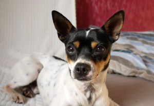 Einstellbilder Leo (3)