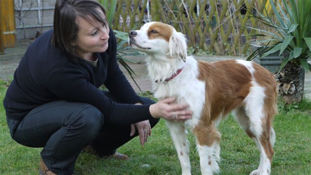 LuftbrueckefuerHunde e.V. » Blog Archiv » Flecky ist ein Glückspilz