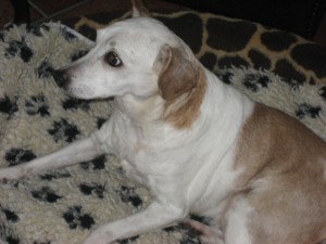 Lea (2)