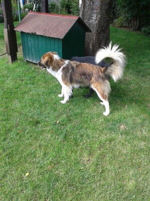 Libby 2014-06-02  (1)