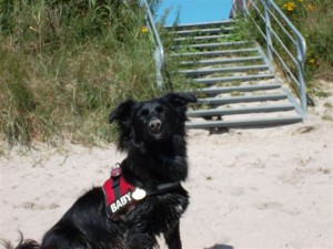 Luna 30.9.2011