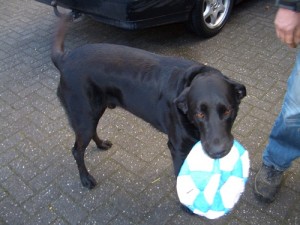 Macho 3.11.2012 (1)