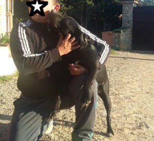Mora (2)
