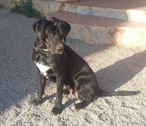 Mora (3)