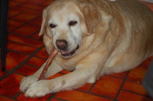 Penny  (10)