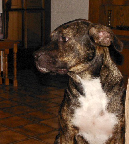 bruce12