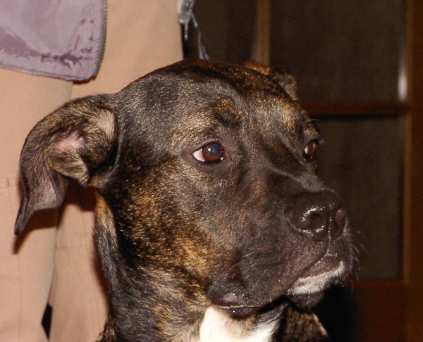 bruce7
