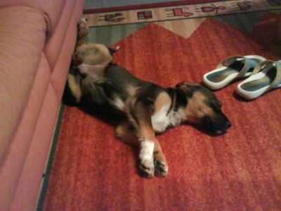 dsc00060.jpg