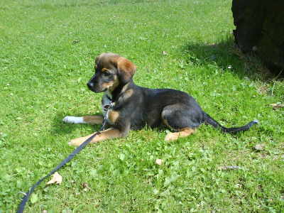 dsc00086.jpg
