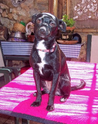 estrella_0508_1.jpg