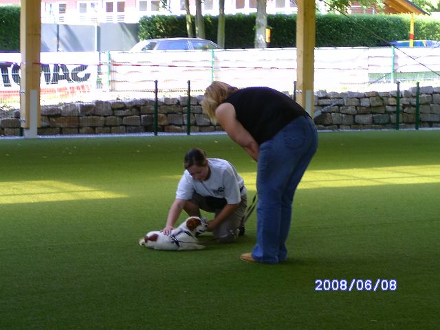 k-bild0211.JPG