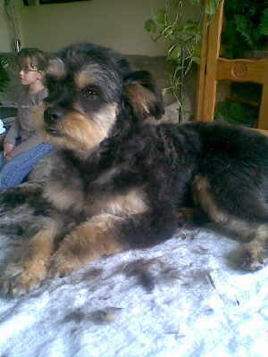 murmel_0508_1.jpg