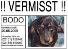 BODO immer noch VERMISST