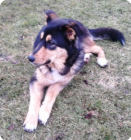 Milly - unser Sorgenkind