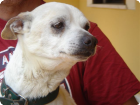 Rufo + 07.10.2016