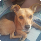 Sugar + 18.08.2015