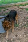 TEDDY ... + 20.03.09