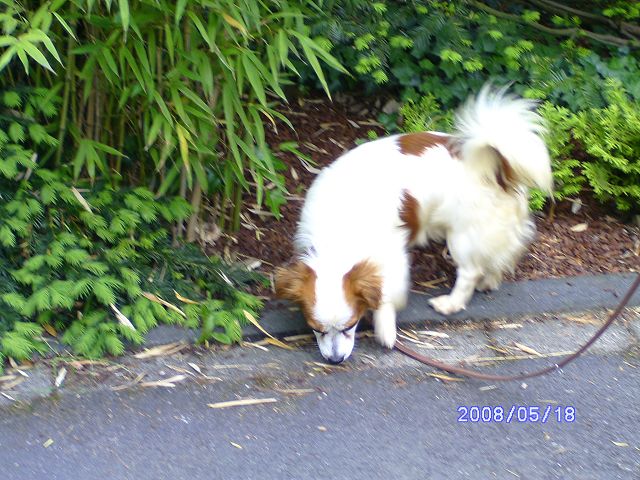 rusty3.jpg