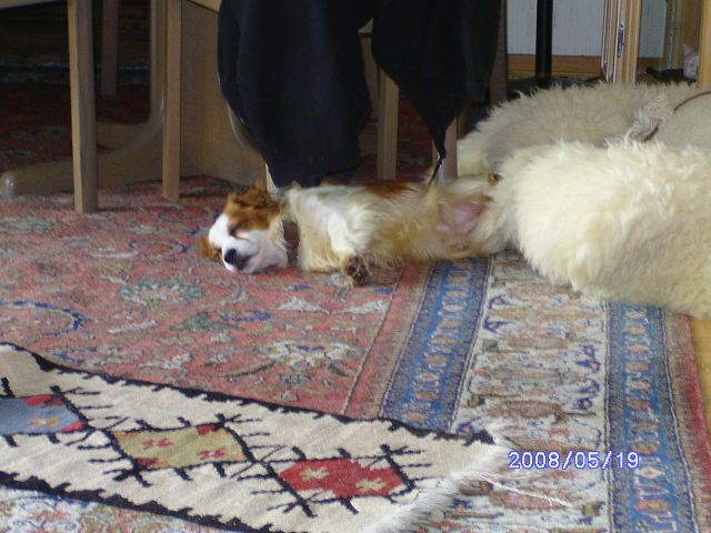 rusty8.jpg