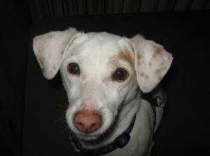 sam-portrait_thumbnail