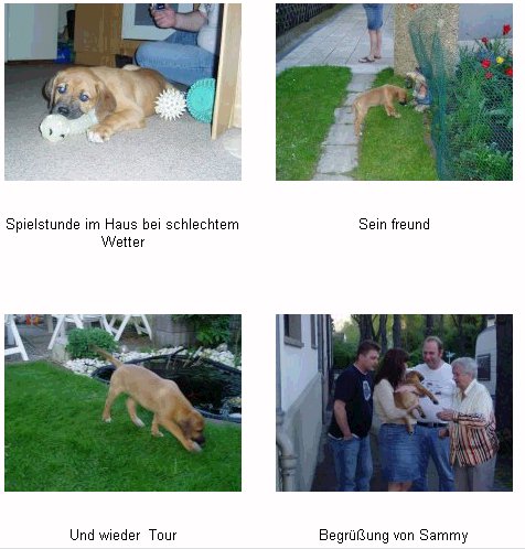 sammy_2.jpg