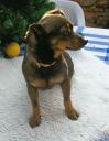 toni-4.jpg